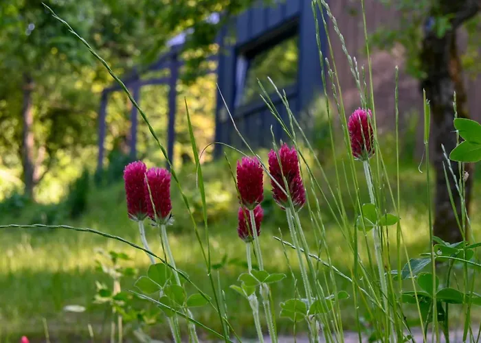 샬레 Karpatia Bb *