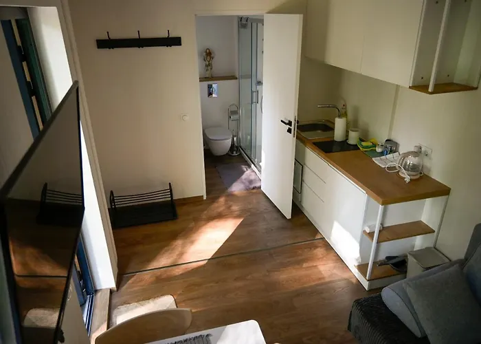 Karpatia Bb ביילסקו-ביאלה